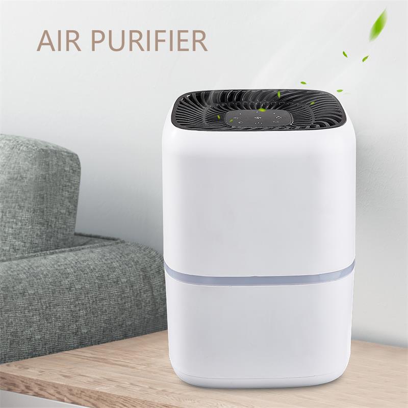 Anion Freshness Air Purifier